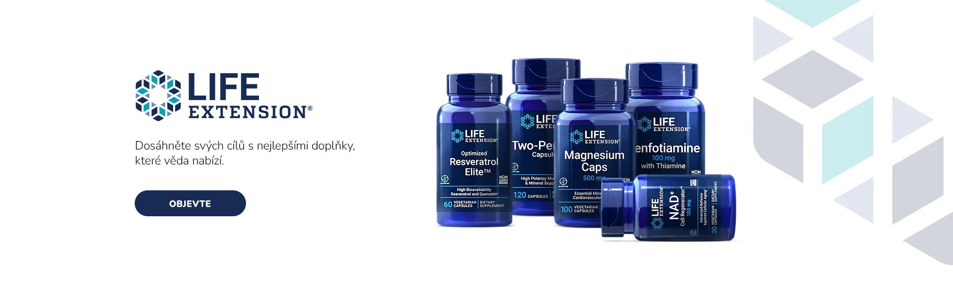 Life Extension - (2025.06.10.)