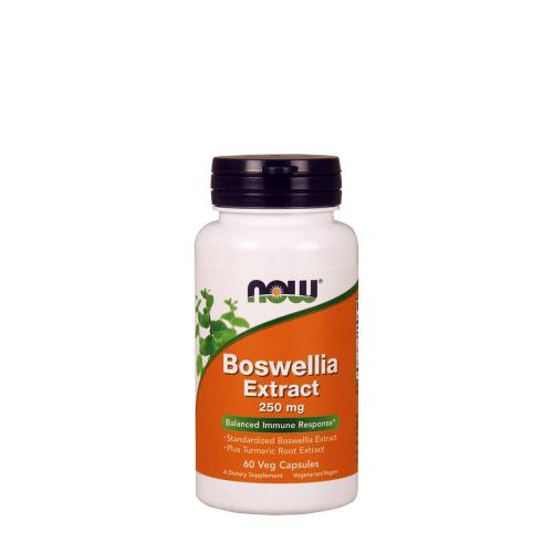 Now Foods Extrakt z boswellie - extrakt z kadidlovníku 250 mg (60 Veg Kapsla)