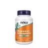 Now Foods Magnesium + Ashwagandha (120 Veg Kapsla)