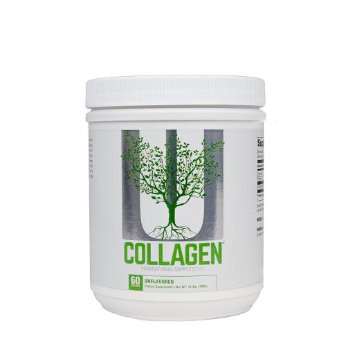 Universal Nutrition Kolagen hydrolyzát v prášku (300 g, Bez příchutě)