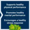 Life Extension Rhodiola extrakt 250 mg - Rhodiola extrakt (60 Veg Kapsla)
