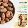 Himalaya Lip Balm  (10 g, Kakaové máslo)