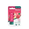 Himalaya Lip Balm (4,5 g, Liči)