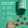 Goli Pre + Post + Probiotics Gummies (60 Gumový cukr)