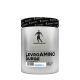 Kevin Levrone Levro Amino Surge Komplexní formule aminokyselin  (500 g, Ananas s černým rybízem)