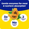 Enzymedica Papaya Complete (120 Tableta, Papája máta)