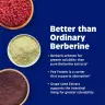 Enzymedica Berberine Phytosome® (60 Kapsla)
