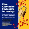 Enzymedica Berberine Phytosome® (60 Kapsla)