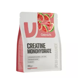OstroVit Kreatin monohydrát  (300 g, Meloun)
