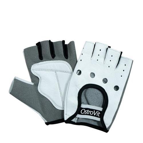 OstroVit Pánské rukavice - Men's Gloves (XL)