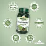 Natures Aid Saw Palmetto standardizovaný 500 mg  (90 Tableta)