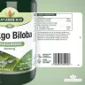 Natures Aid Ginkgo Biloba standardizovaný 120 mg  (90 Tableta)