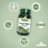 Natures Aid Ginkgo Biloba standardizovaný 120 mg  (90 Tableta)