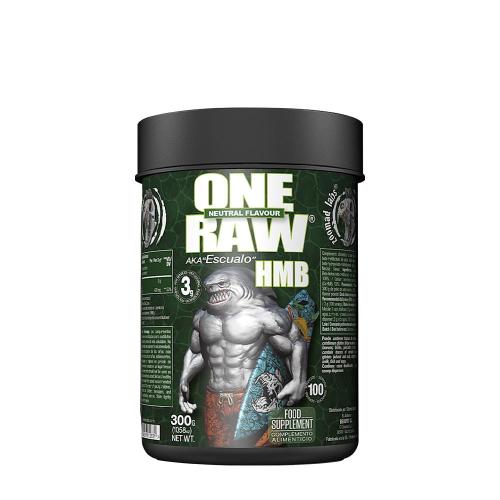 Zoomad Labs Raw One HMB - Raw One HMB (300 g, Bez příchutě)