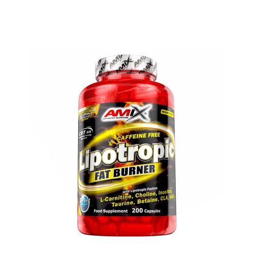 Amix Lipotropní spalovač tuků - Lipotropic Fat Burner (200 Kapsla)