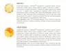 Extrifit Regel Gel - Regel Gel (25 x 80 g, Ananas)