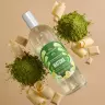 The Body Shop Whipped Matcha and White Chocolate Fragrance Mist (100 ml)