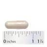 Nature's Way Fortify® Optima® 35 Billion Probiotic + Prebiotic (30 Kapsla)
