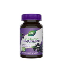 Nature's Way Sambucus Gummies (60 Gumový cukr)