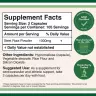 Double Wood Supplements Beet Root  (210 kapsle)