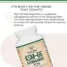 Double Wood Supplements KSM-66 Ashwagandha 600 mg (120 Kapsla)