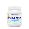 ALLNUTRITION BCAA Max Support (500 g, Pomeranč)