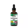 Nature's Answer Echinacea Extract (2 fl. oz.)