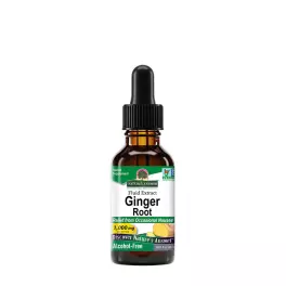 Nature's Answer Ginger Extract (1 fl. oz.)