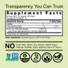 Nature's Answer Green Tea Extract (1 fl. oz.)