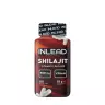 INLEAD Nutrition Shilajit (120 Veg Kapsla)